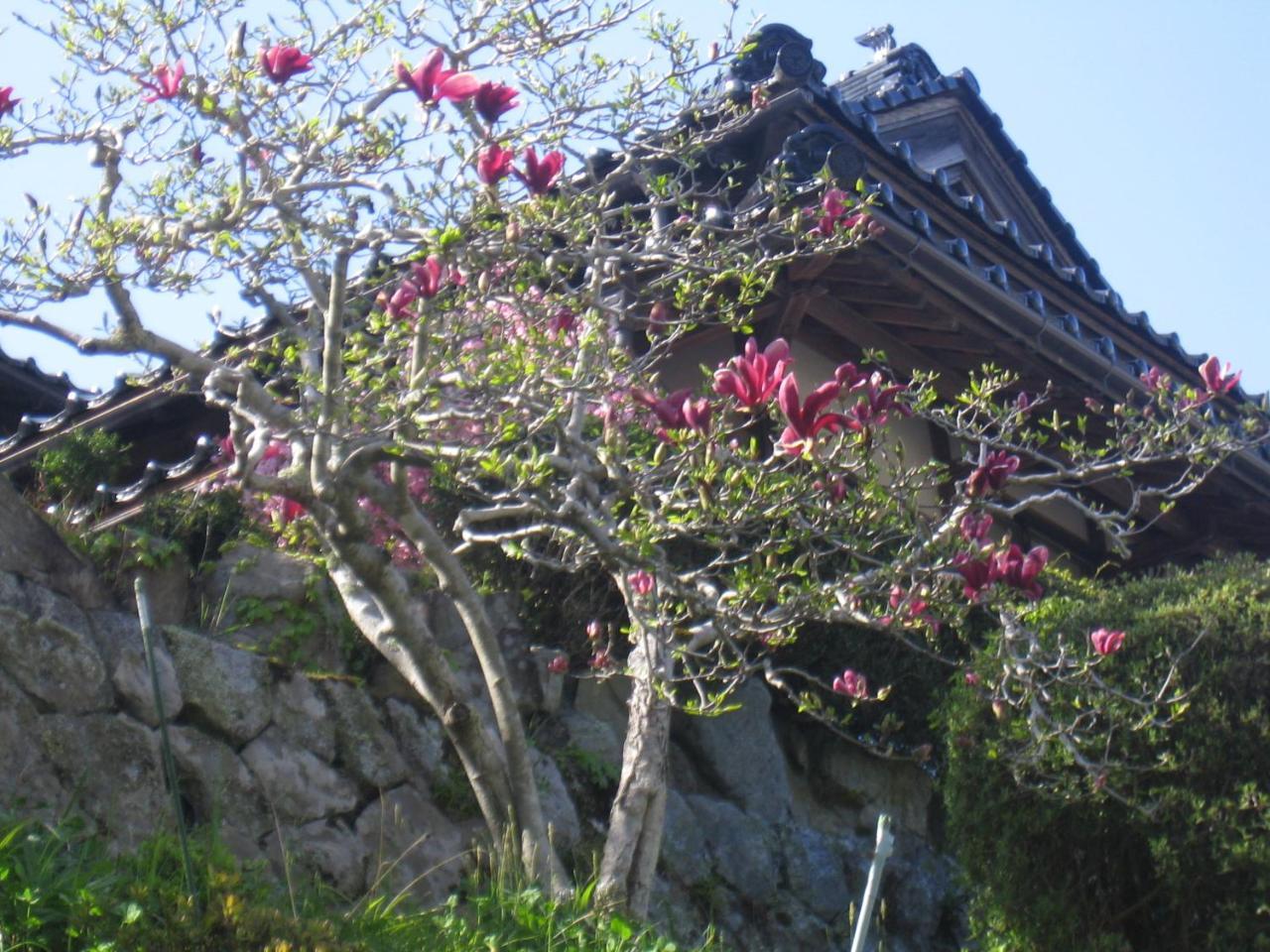 Japanese Style Inn Dohzen Miwa Niimi Exterior foto